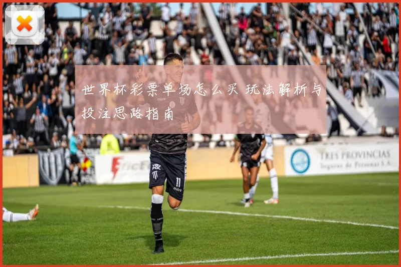 世界杯彩票单场怎么买 玩法解析与投注思路指南