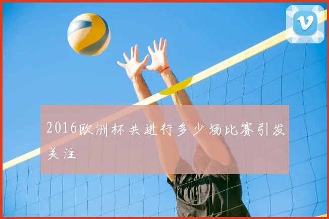 2016欧洲杯共进行多少场比赛引发关注