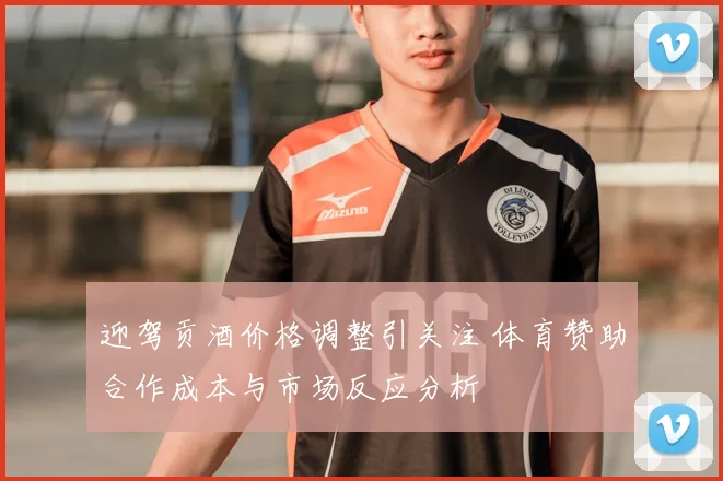 迎驾贡酒价格调整引关注 体育赞助合作成本与市场反应分析