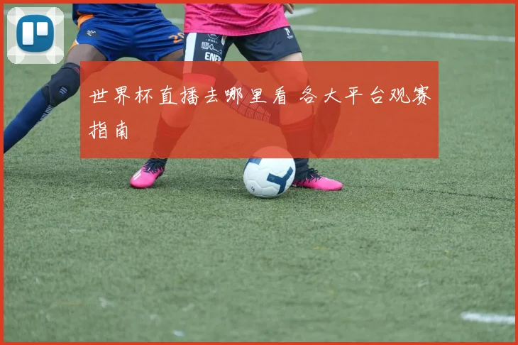 世界杯直播去哪里看 各大平台观赛指南
