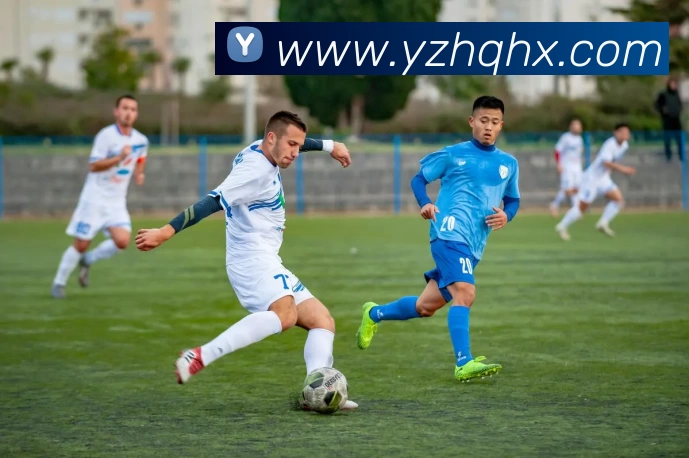 今年会 | 官方网站全站App